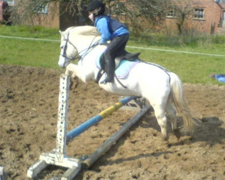 Anden særlig race Hvide<3 - Spring<3 billede 11