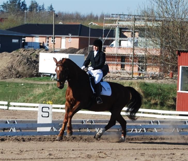 Oldenborg Alextho [Mors] - mor i nibe 20/4.08, Foto: Stine billede 15