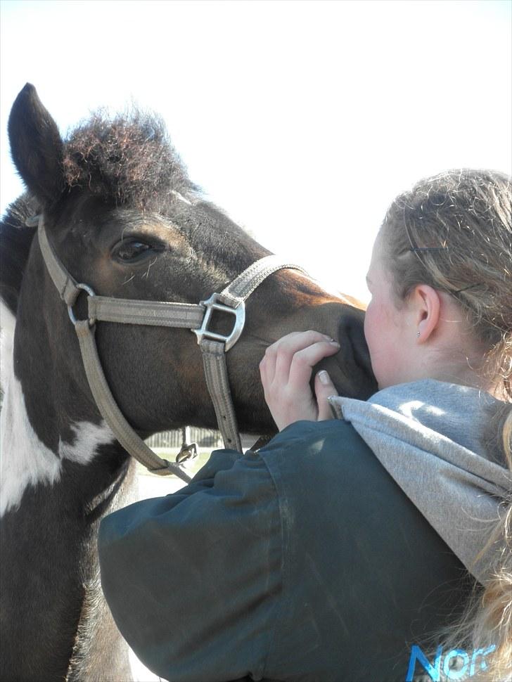 Anden særlig race Mille. - (SOLGT) - Velkommen til Mille´s profil. :D tag gerne et kig & smid og gerne en kommentar! :D  billede 1