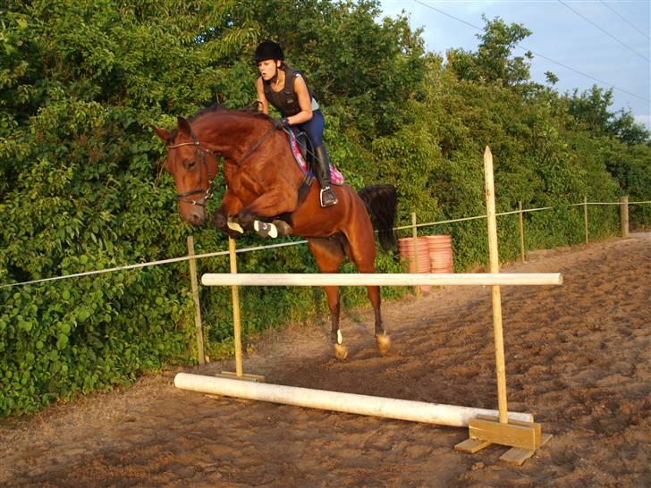 Traver Jelly Bean - Jeg springer på Jelly billede 11