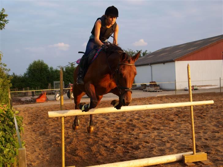 Traver Jelly Bean - Jelly og jeg springer, 115 cm  det (: <3 billede 12