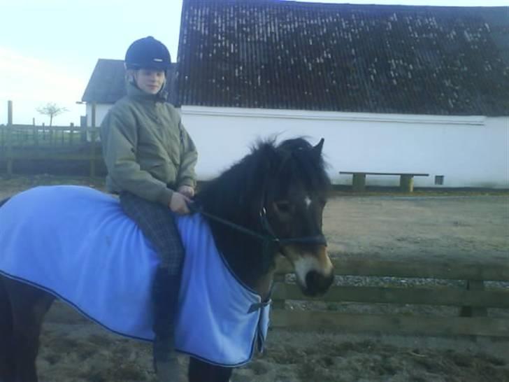 Anden særlig race Lukas billede 12