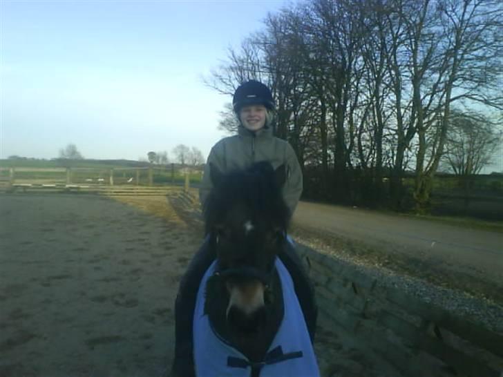 Anden særlig race Lukas billede 13