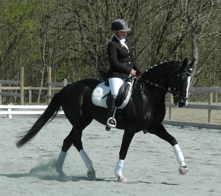 Holstener Priors Maluta billede 20