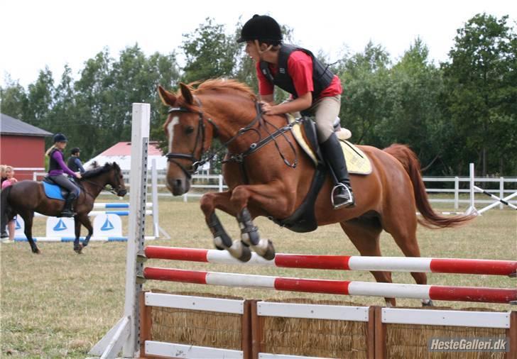 Hollandsk Varmblod Karola  - mig på karola billede 8