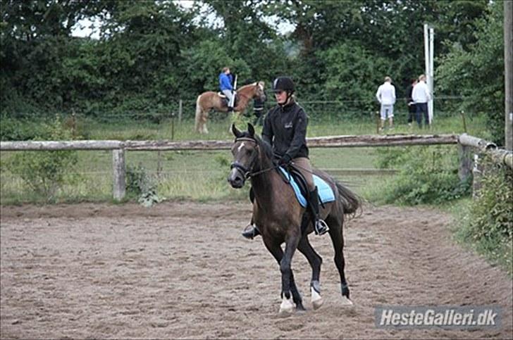 Anden særlig race Flik Flak *SOLGT* billede 8