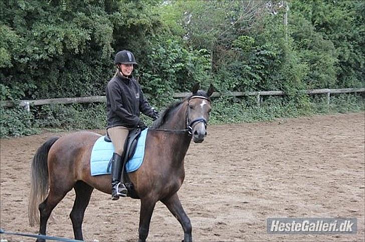 Anden særlig race Flik Flak *SOLGT* billede 11