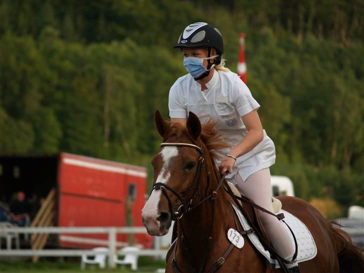 Dansk Varmblod Soffi Bakkegård - showspringning jysk rideuge billede 7