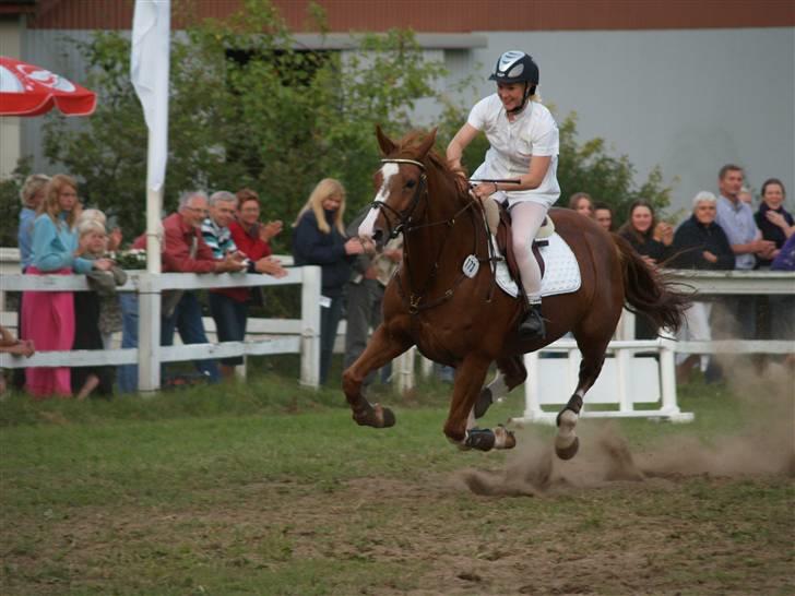 Dansk Varmblod Soffi Bakkegård - Showspringning jysk rideuge billede 9
