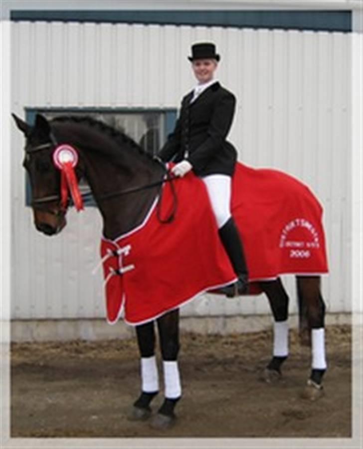 Dansk Varmblod Malays Fælledgård (solgt :-( - Vinder af Distriktsmesterskab 2006 billede 9