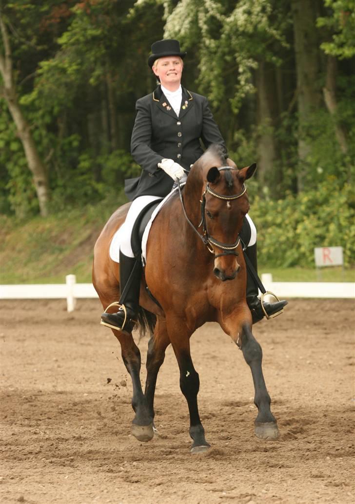 Dansk Varmblod Malays Fælledgård (solgt :-( - Morsø 2007 billede 10