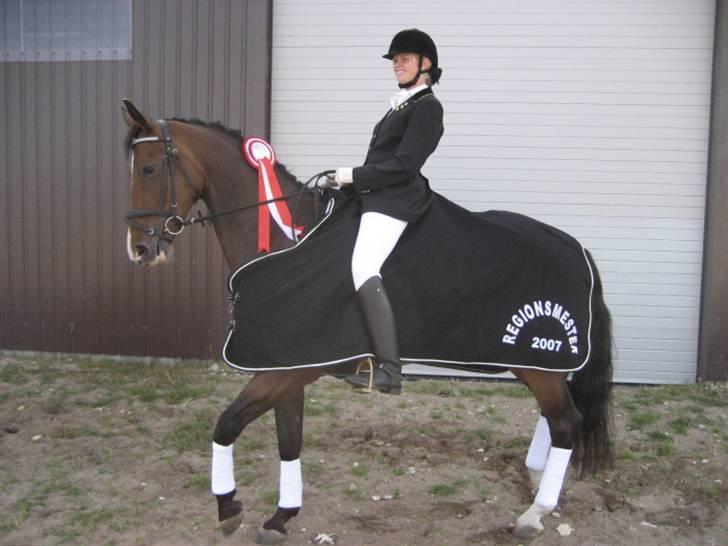 Dansk Varmblod Merci (solgt) billede 6