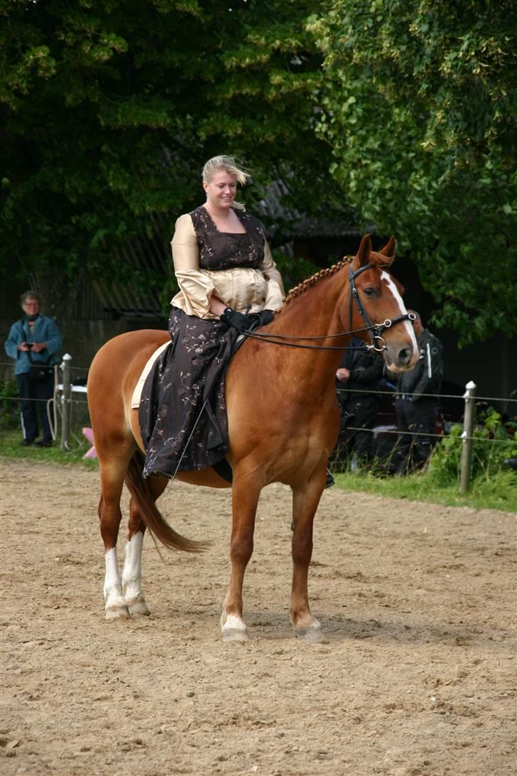 Frederiksborg Lucas - Åbnet hus på Vindskovgård 2007 billede 4