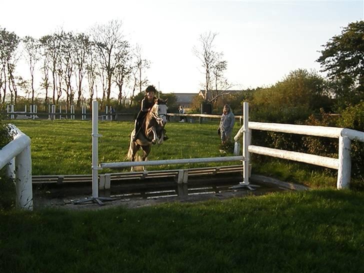 Anden særlig race Faithful´s Shakira B-pony - Springer vand :)<3333333333333333333333 billede 2