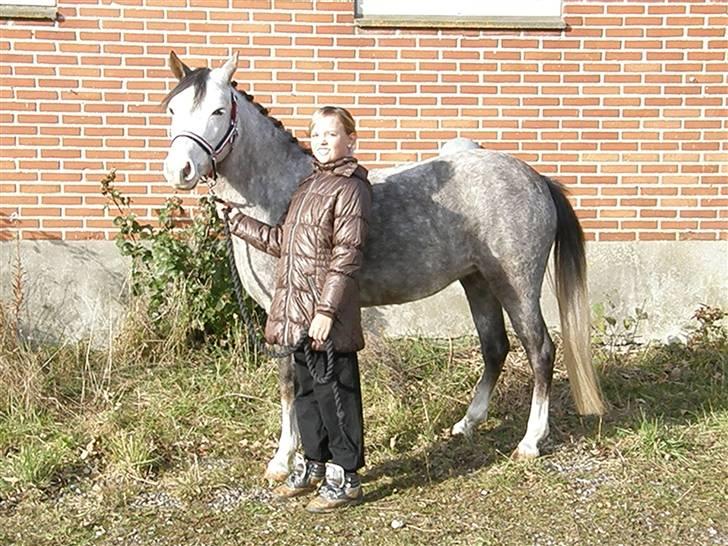 Anden særlig race Faithful´s Shakira B-pony - Skønheden & udyret xD <3 billede 3