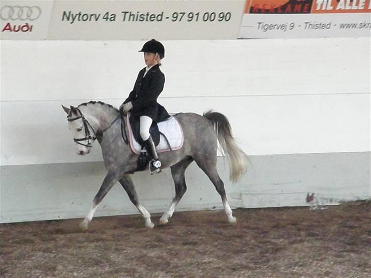 Anden særlig race Faithful´s Shakira B-pony - Dressur i Thisted <3 :´*  billede 4