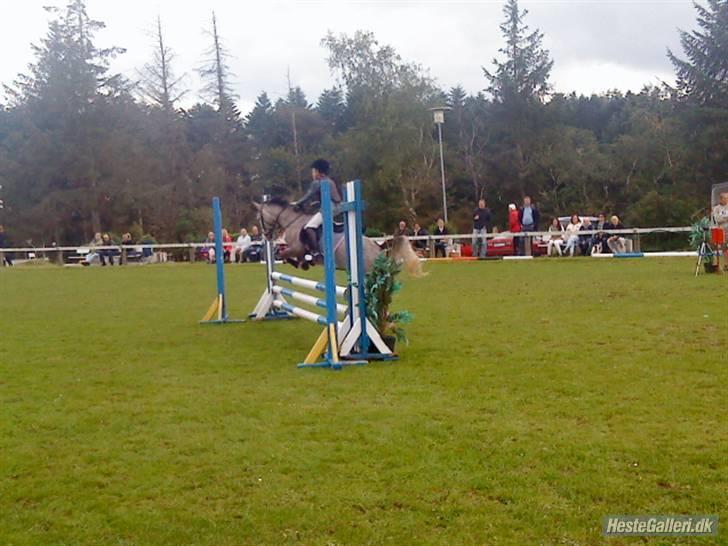 Anden særlig race Faithful´s Shakira B-pony - Snæver vending ;D <333 billede 7