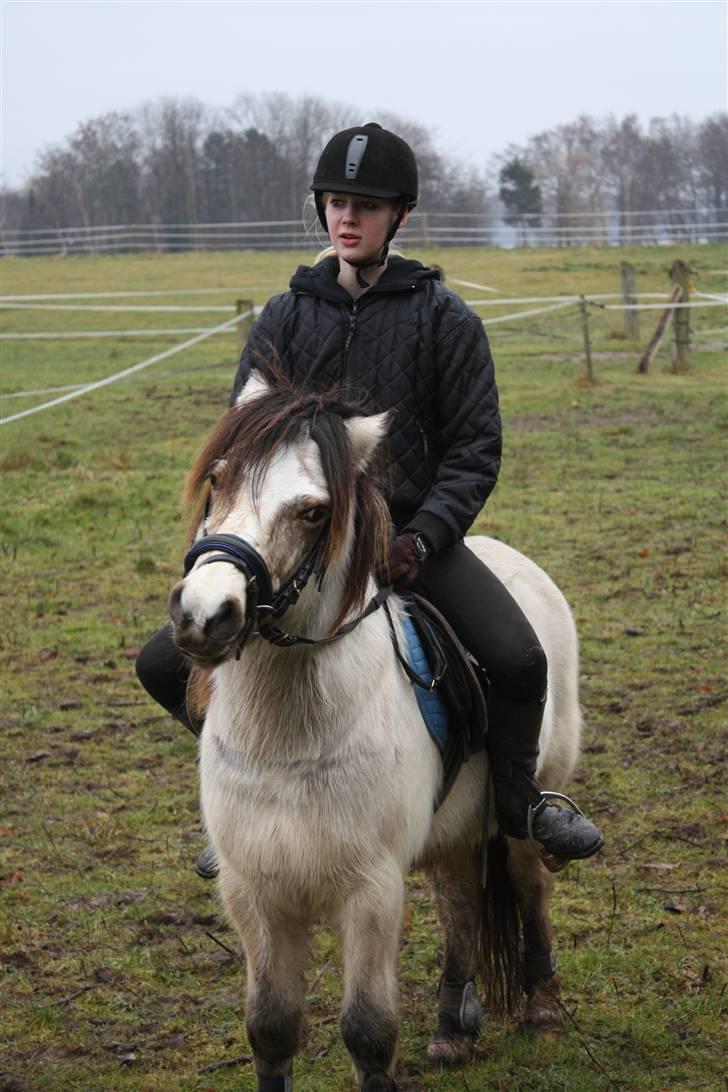 Anden særlig race Snebold  - Søde & sjove Snebold <´3 Foto: Far billede 10