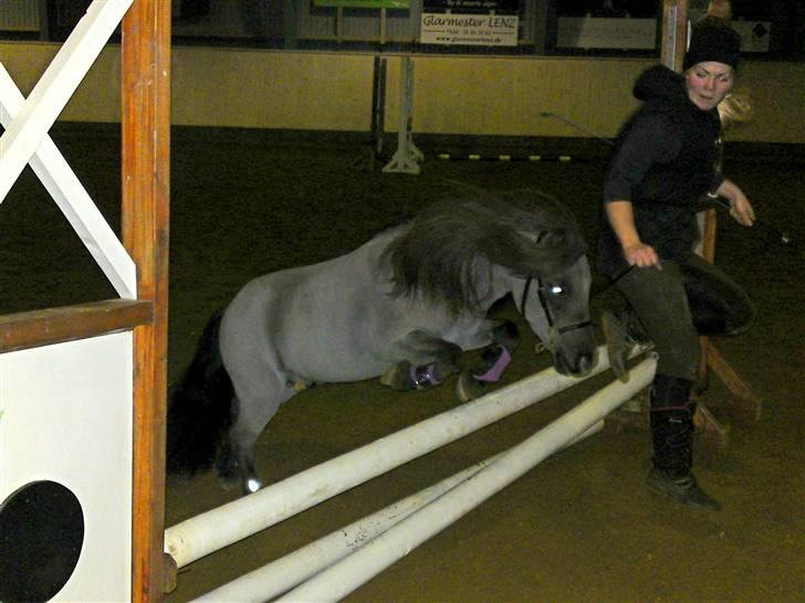 Miniature Elvis Olsen - Træing til nisse spring :) dec 2009 billede 11