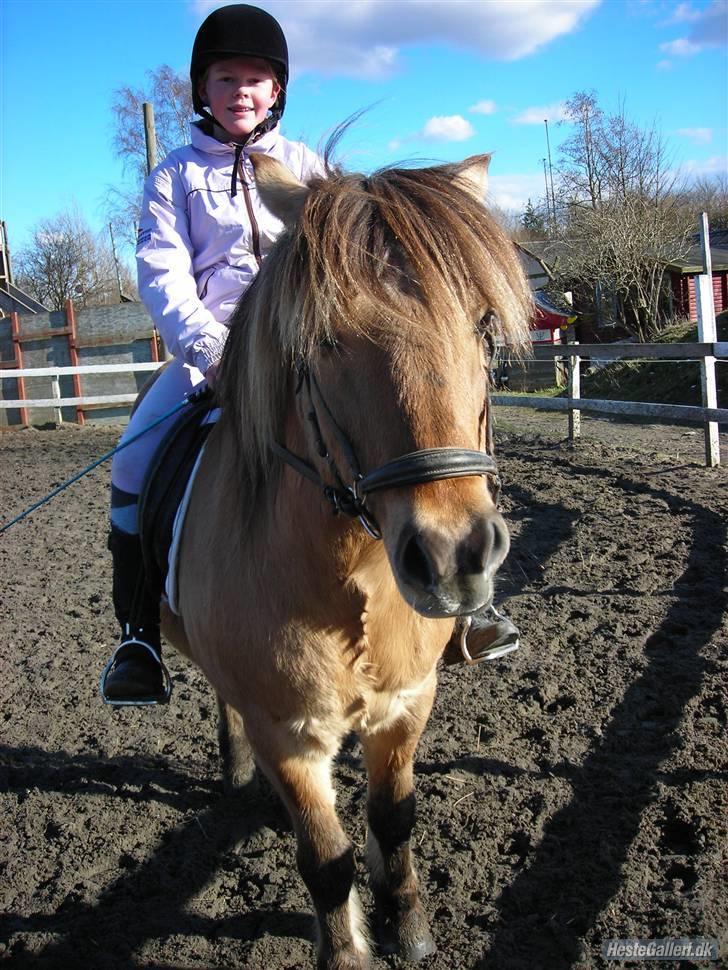 Anden særlig race Polle R.I.P ;´( - polle og mig  billede 17