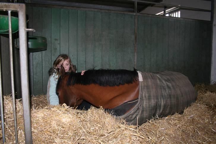 Anden særlig race Ofelia - center foto billede 12