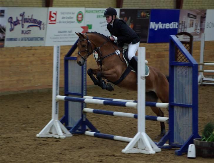 DSP Burton´s Dream *Solgt* billede 8