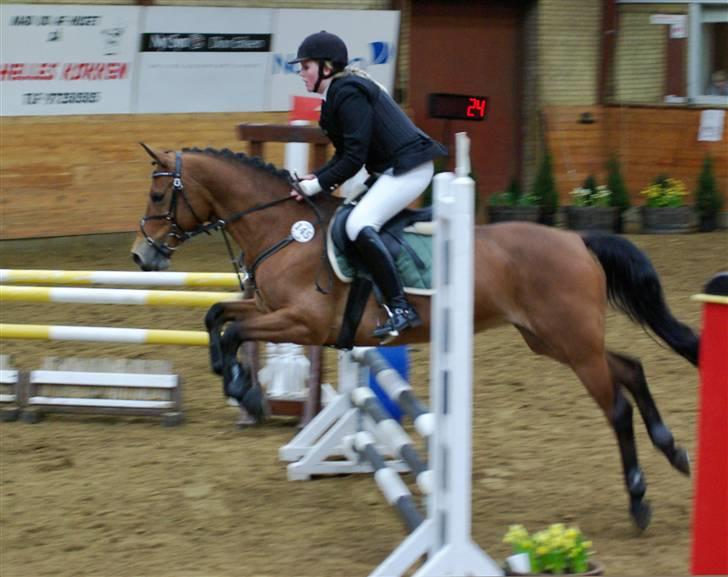 DSP Burton´s Dream *Solgt* billede 9