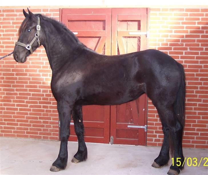 Frieser Teakjen B - SOLGT billede 2