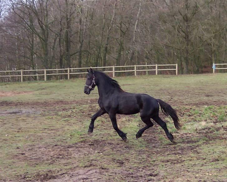 Frieser Teakjen B - SOLGT billede 3