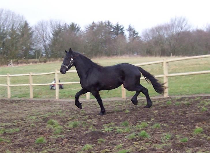 Frieser Teakjen B - SOLGT billede 9