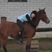 Anden særlig race Jasmin R.I.P