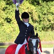 Welsh Mountain (sec A) Fakla Gerald A-pony  ¤Solgt¤