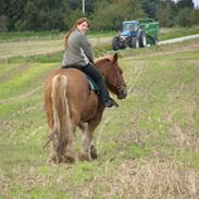 Jyde Kliphøjgårds ZIDAN