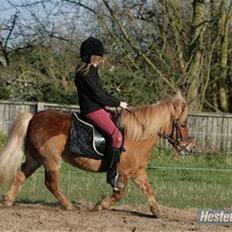 Anden særlig race Smølf / Tot