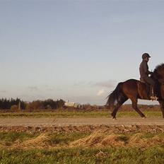 Islænder Kári fra rødstenskær