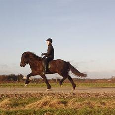 Islænder Kári fra rødstenskær