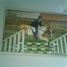 Pinto michelle *SOLGT*