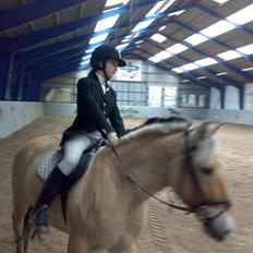 Fjordhest Baldrian<3 Solgt:/<3