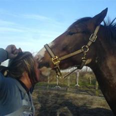 Pinto Hedens Chateau