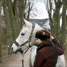 Tysk Sportspony SCARLETT