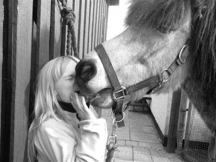 Anden særlig race Tjalfe ' Alt<3 *Gl. Part* - 13) Tjalfe og min lillesøs deler en gulerod med munden {: <3 d. ?? 2008 billede 13