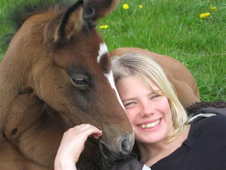 Anden særlig race                     Cindy billede 1