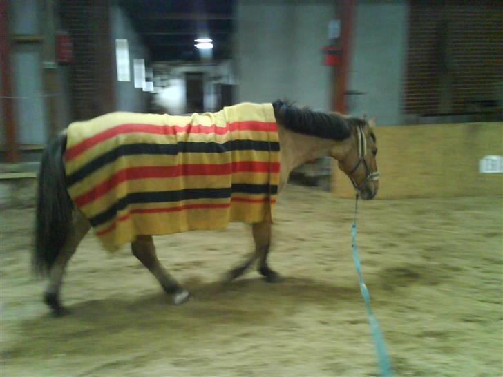 Anden særlig race Max billede 9