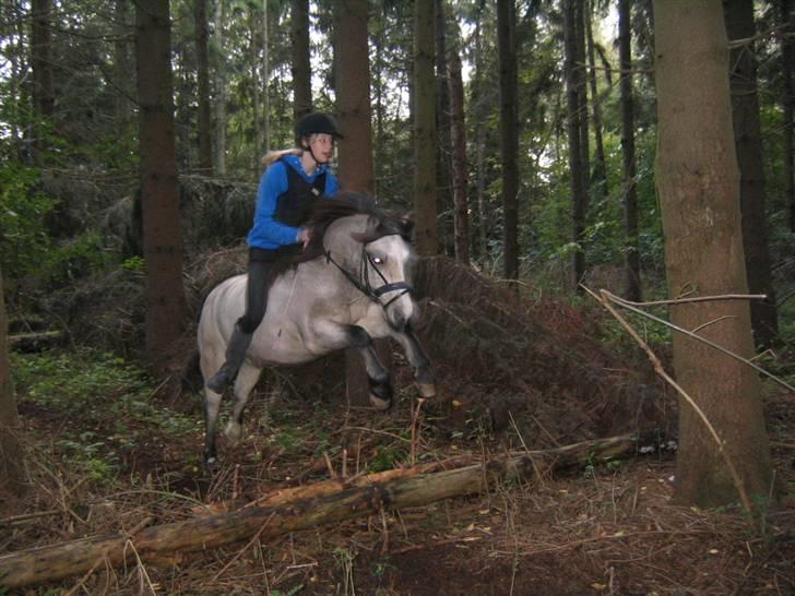 Anden særlig race Snebold  - wiie... Laaaangt spring ;P Foto: Andrea billede 12