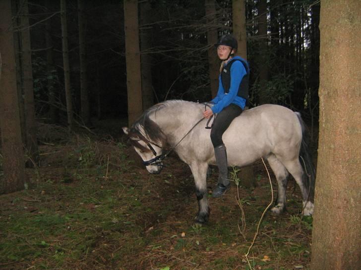 Anden særlig race Snebold  - Jaa.. Snebold er smuk men jeg sidder bare og daser den. Foto: Andrea billede 13