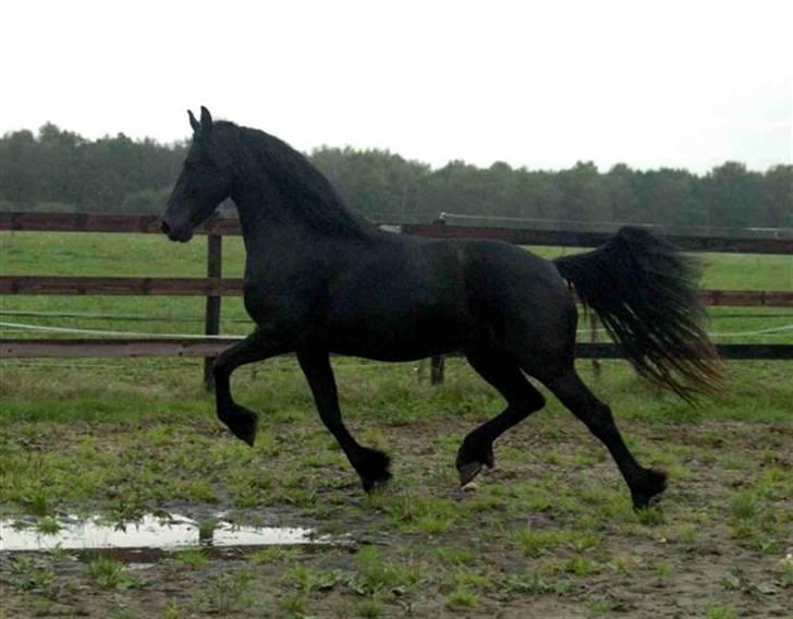 Frieser ** LISANNE ** billede 10