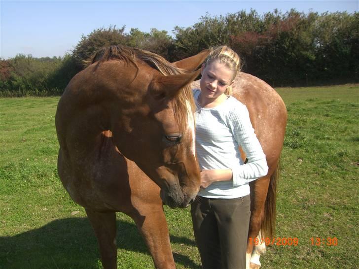 Knabstrupper Cassandra H 'gml. passer' - Minpige? jeg elsker dig ! :*<3 {Foto: Heidi} billede 5