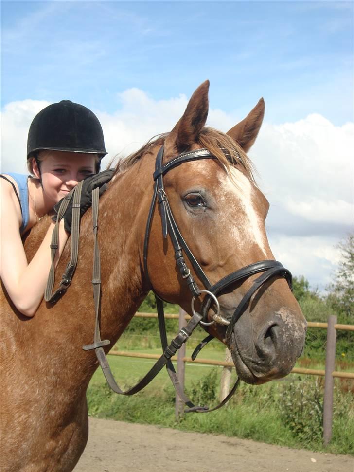 Knabstrupper Cassandra H 'gml. passer' - Yndlingsbillede.. Kun fordi jeg elsker dig! <3 {Foto: Annabell} billede 7