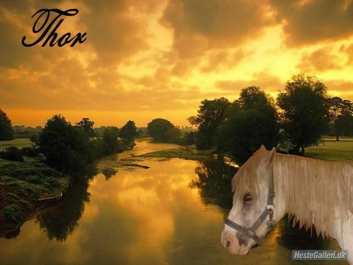 Anden særlig race thor billede 1