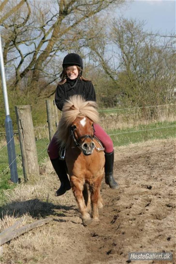 Anden særlig race Smølf / Tot - ja Tot ser da sød ud., Jeg ligner en eller anden der er ved at dø af grin :P Foto: Schmølz billede 19